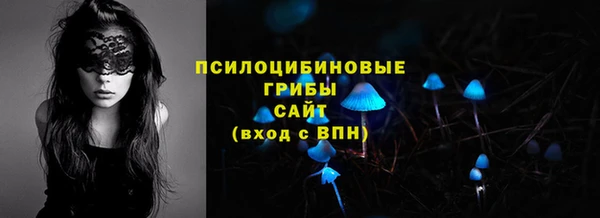 эйфоретик Балахна