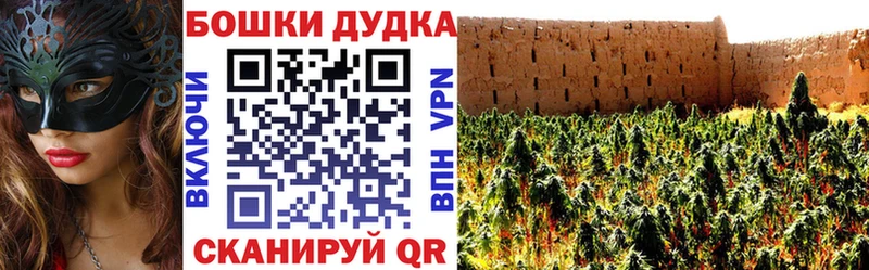 omg рабочий сайт  Заречный  Канабис LSD WEED 